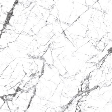 Invisible White